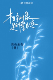 相亲对象是刑警队长 相亲对象是刑警队长