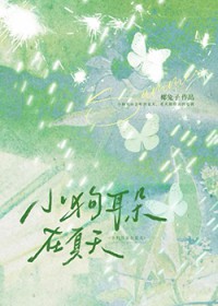 小狗耳朵在夏天 小狗耳朵在夏天
